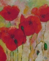 Coquelicots - Nature morte - Still Life