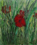 Les coquelicots - Nature morte - Still Life